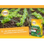 Antilumache Solabiol : Soluzione Sostenibile per il Giardino e l'Orto - Astuccio da 750 gr
