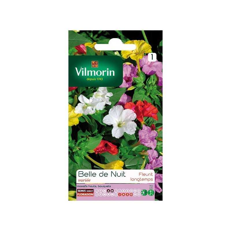 Four O'Clock Flower Seeds Mixed Vilmorin - Night-Scented Marvel of Peru Four O'Clock Flower Seeds Mixed Vilmorin - Night-Scented Marvel of Peru