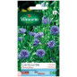 Samentüte Kornblume Blau Samentüte Kornblume Blau