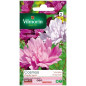 Borsa Cosmos Psyche Variegata Del Seme Borsa Cosmos Psyche Variegata Del Seme
