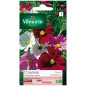 Sachet graines Cosmos sensation varié Sachet graines Cosmos sensation varié