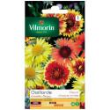 Bag seeds Gaillarde Large flowers