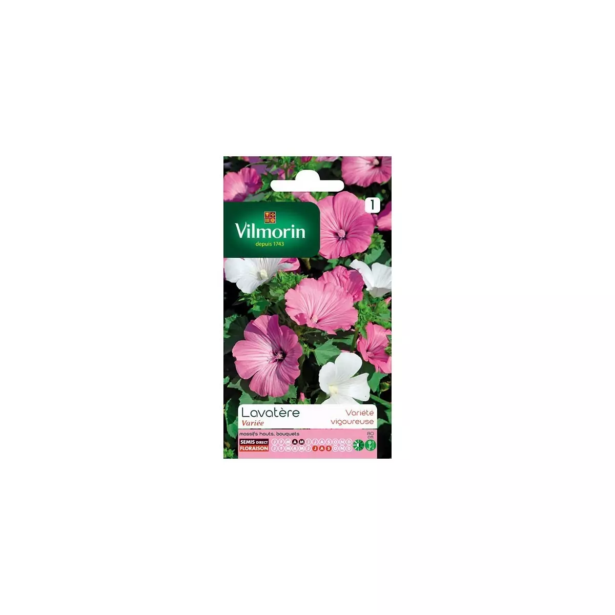 Product sheet Lavatera with large flower