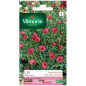 Borsa Rossa Venezia Lin Seed Borsa Rossa Venezia Lin Seed