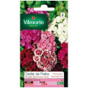 Sweet William Double Pationata Mixed Seeds Packet
