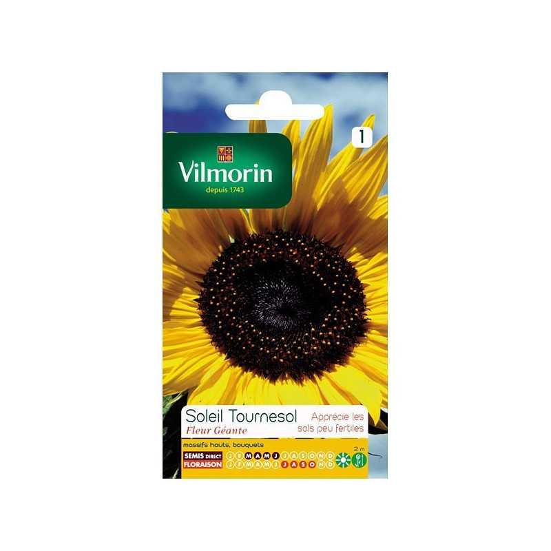 Giant Flower Sunflower Seeds Vilmorin Giant Flower Sunflower Seeds Vilmorin