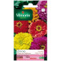 Sachet graines Zinnia Géant de Californie