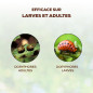 SOLABIOL Anti Doryphores 125 ml: Biological protection for your vegetable garden