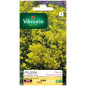 Borsa Alysse Gold Basket Seed Borsa Alysse Gold Basket Seed