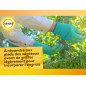 SOLABIOL Fosfato Naturale - 1,5 kg: il tuttofare per colture fiorenti SOLABIOL Fosfato Naturale - 1,5 kg: il tuttofare per colture fiorenti