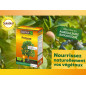 La potassa Solabiol 1,5 kg: il fertilizzante essenziale per una buona fruttificazione La potassa Solabiol 1,5 kg: il fertilizzante essenziale per una buona fruttificazione