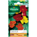 Capucine Tom Thumb Varied Seed Bag