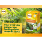 SOLABIOL Fertilizzanti per palme e piante mediterranee - 1,5 Kg - Utilizzabile in agricoltura biologica SOPALMY15
