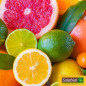 SOLABIOL Fertilizzante per agrumi, 750g, può essere utilizzato in agricoltura biologica, SOAGY750, marrone SOLABIOL Fertilizzante per agrumi, 750g, può essere utilizzato in agricoltura biologica, SOAGY750, marrone
