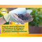SOLABIOL Concimi per olive e fichi - 750 g - Può essere utilizzato in agricoltura biologica SOLIVY750, marrone