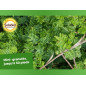 SOLABIOL Concimi per conifere e arbusti ornamentali - 1,5 kg - 100% organico - Azione di lunga durata SOCONY15 SOLABIOL Concimi per conifere e arbusti ornamentali - 1,5 kg - 100% organico - Azione di lunga durata SOCONY15