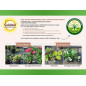 SOLABIOL Concimi per conifere e arbusti ornamentali - 1,5 kg - 100% organico - Azione di lunga durata SOCONY15 SOLABIOL Concimi per conifere e arbusti ornamentali - 1,5 kg - 100% organico - Azione di lunga durata SOCONY15