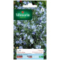 Borsa Blu Perennali Lin Seeds Borsa Blu Perennali Lin Seeds
