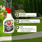 PROTECT EXPERT Concentrated Weed Control Sprayer | Great Courtyards and Alleys | 750ml | Acts by contact