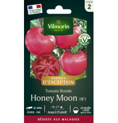 Sachet graines Tomate ronde Honey Moon SDJ