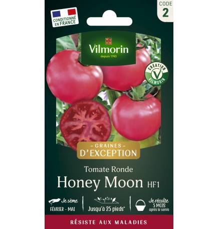 Sachet graines Tomate ronde Honey Moon SDJ