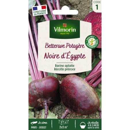 Rote-Bete-Samen Ägyptische Platte Vilmorin - Aussaat März bis Juni