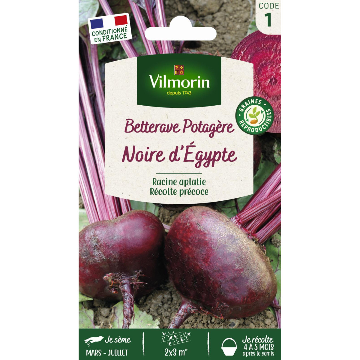 Semi Barbabietola d'Egitto Vilmorin - Semina da marzo a giugno
