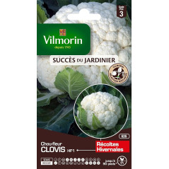 Vilmorin cavolfiore Clovis HF1 - semi resistenti al freddo