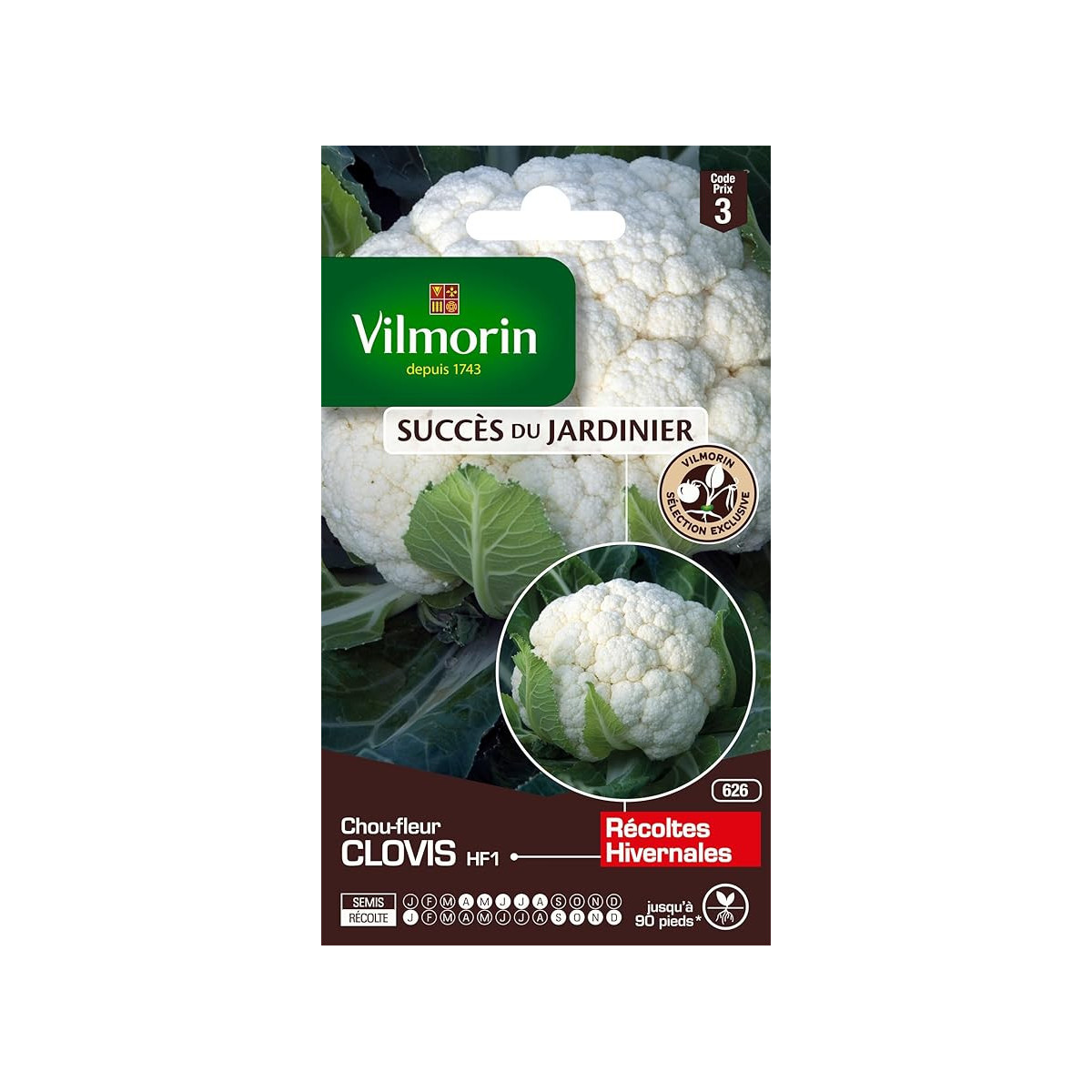 Vilmorin cavolfiore Clovis HF1 - semi resistenti al freddo