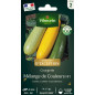 Semi di borsa Courgette Mix di colori Semi di borsa Courgette Mix di colori