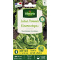 Sachet graines Laitue Kinemontepas Sachet graines Laitue Kinemontepas