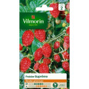 Sachet graines Fraisier des 4 saisons Supreme