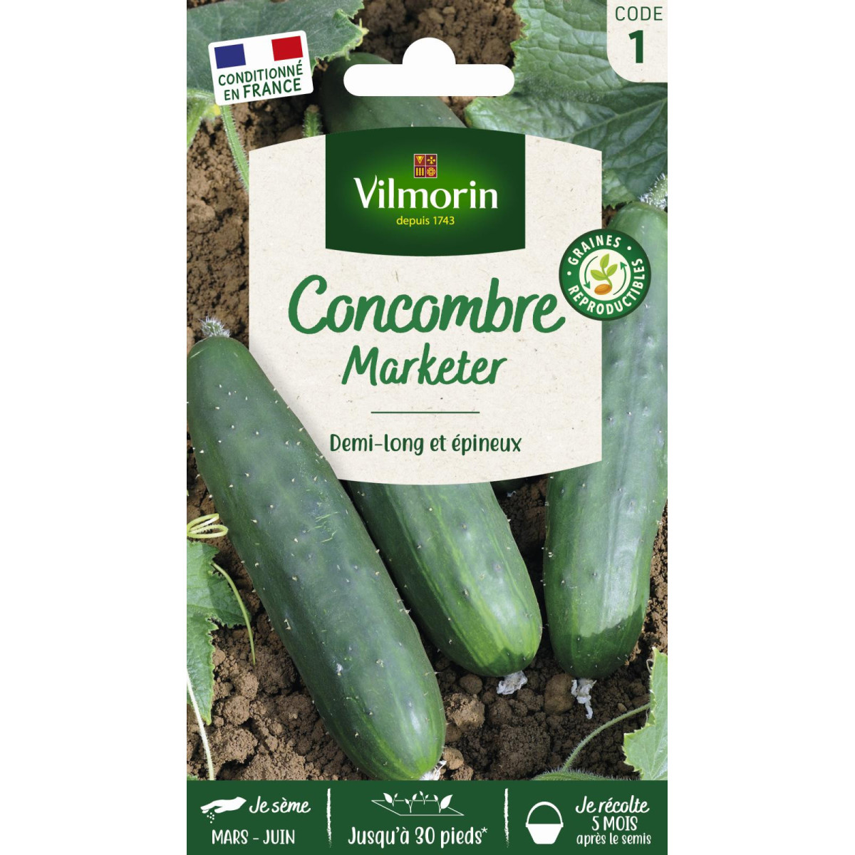 Vilmorin Samentüte Gurke Marketer - Produktive Sorte