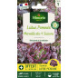 Sachet graines Laitue Merveille des quatre saisons