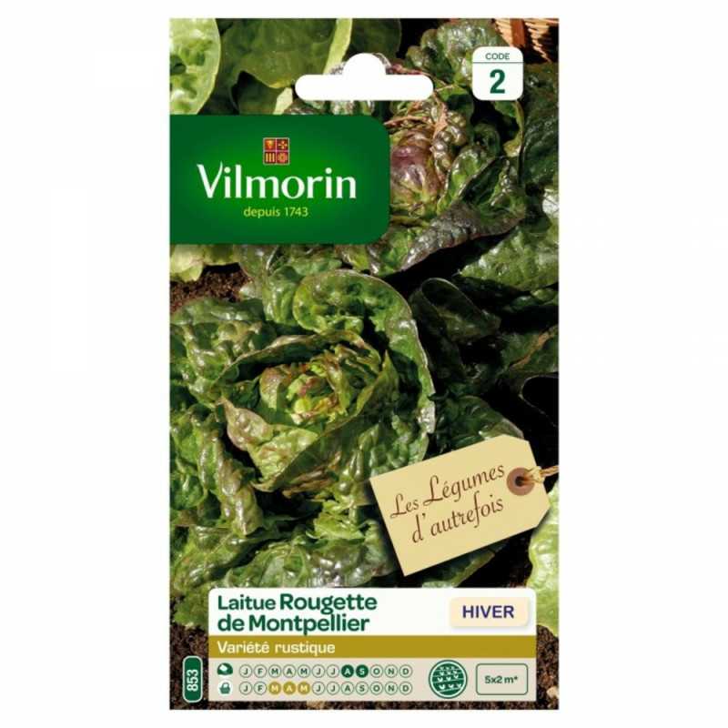Seed Packet Winter Lettuce Rougette de Montpellier