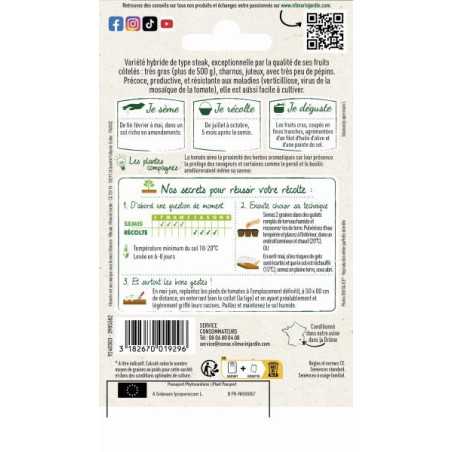 Vilmorin Tomate Buffalo Steak HF1 - Gemüsesamen 300-500g