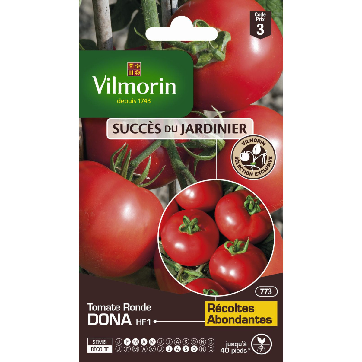 Vilmorin Tomate Dona HF1 - Hybrid-Gemüsesamen