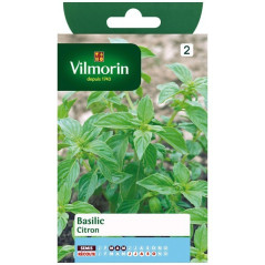 Product sheet Lemon Basil