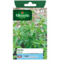 Lemon Basil Seeds Vilmorin - Aromatic Herb, Easy to Grow in Pots Lemon Basil Seeds Vilmorin - Aromatic Herb, Easy to Grow in Pots