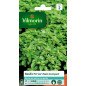 Dwarf Compact Fine Green Basil Seeds Vilmorin - Ideal for Pots Dwarf Compact Fine Green Basil Seeds Vilmorin - Ideal for Pots