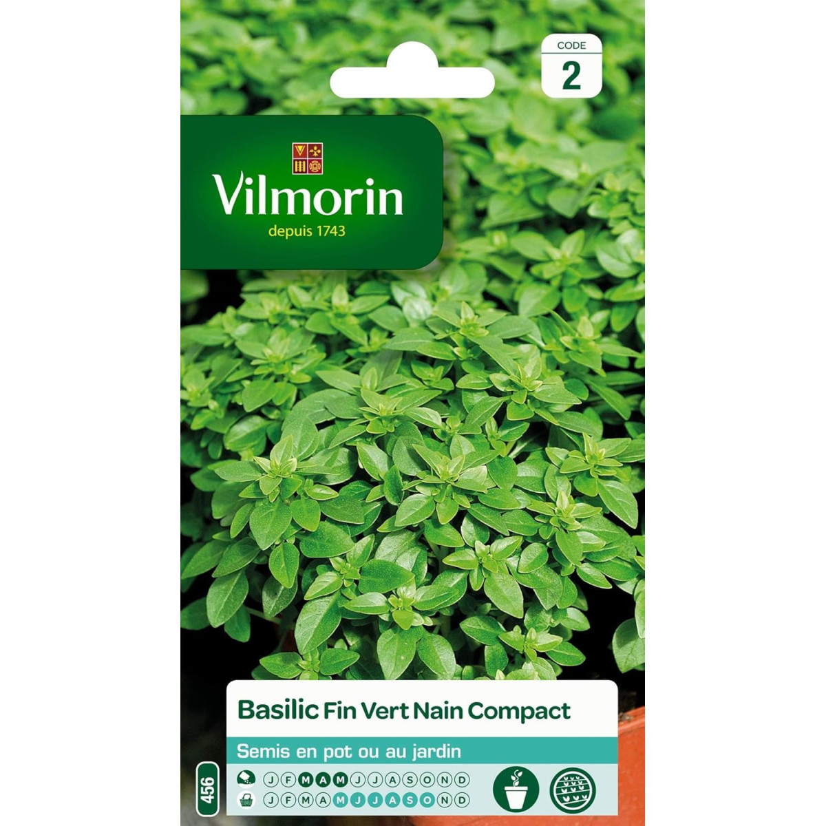 Semillas Albahaca enana compacta Vilmorin - Siembra marzo a junio, 20-25 cm