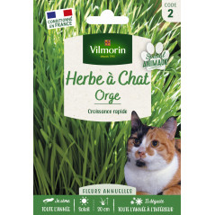 Cat Grass Seeds Vilmorin - Sprouts in 7 to 10 Days, 50 cm