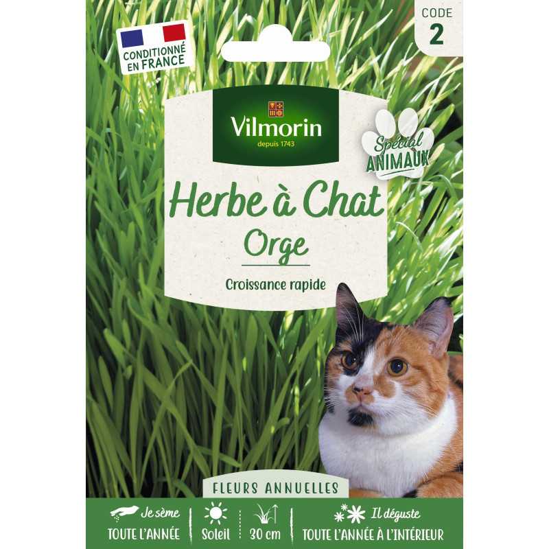 Semillas Hierba para Gatos Vilmorin - Elimina bolas de pelo, cultivo fácil Semillas Hierba para Gatos Vilmorin - Elimina bolas de pelo, cultivo fácil