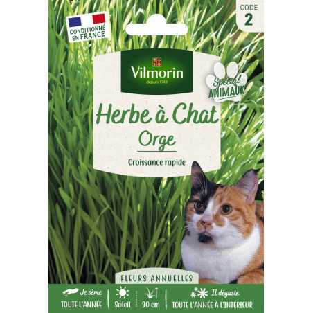 Cat Grass Seeds Vilmorin - Sprouts in 7 to 10 Days, 50 cm