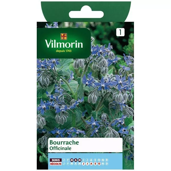 Product sheet Borage Officinale