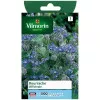 Product sheet Borage Officinale