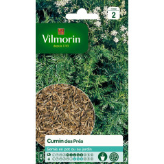 Semi Carvi Vilmorin - Semina da maggio a settembre, 20-40 cm
