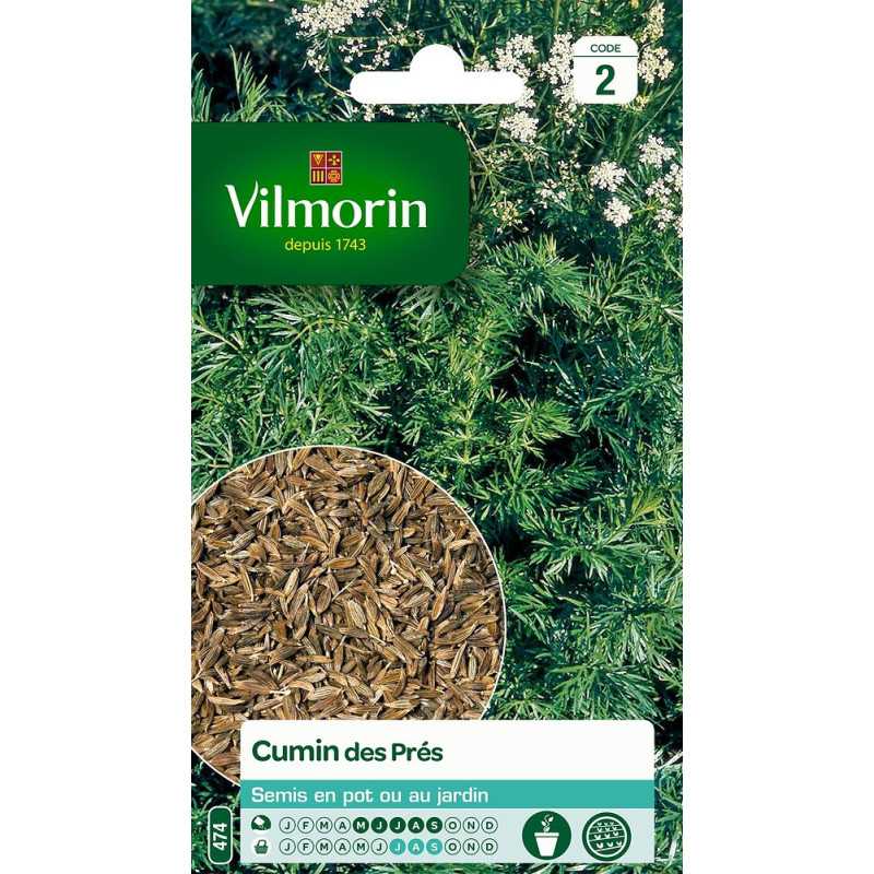 Caraway Seeds Vilmorin - Aromatic Seeds for Baking and Cheeses Caraway Seeds Vilmorin - Aromatic Seeds for Baking and Cheeses