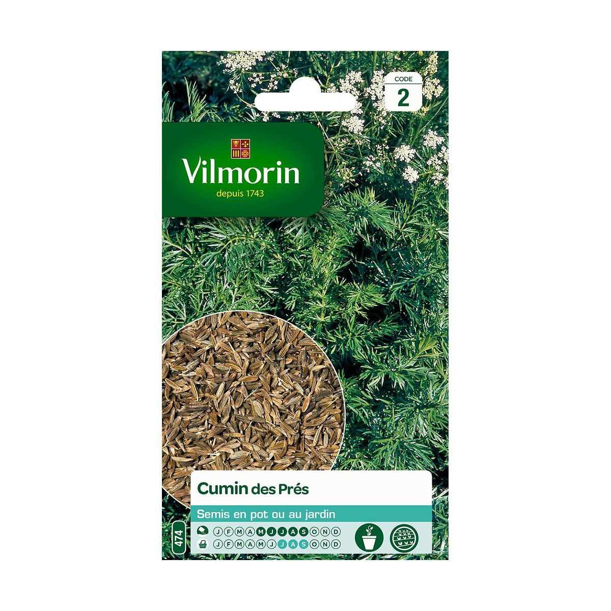 Semi Carvi Vilmorin - Semina da maggio a settembre, 20-40 cm