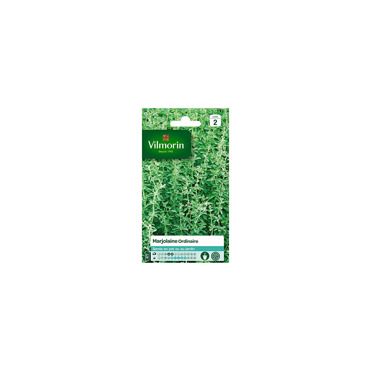 Sweet Marjoram Seeds Vilmorin - Sow March to May, Pick May to October